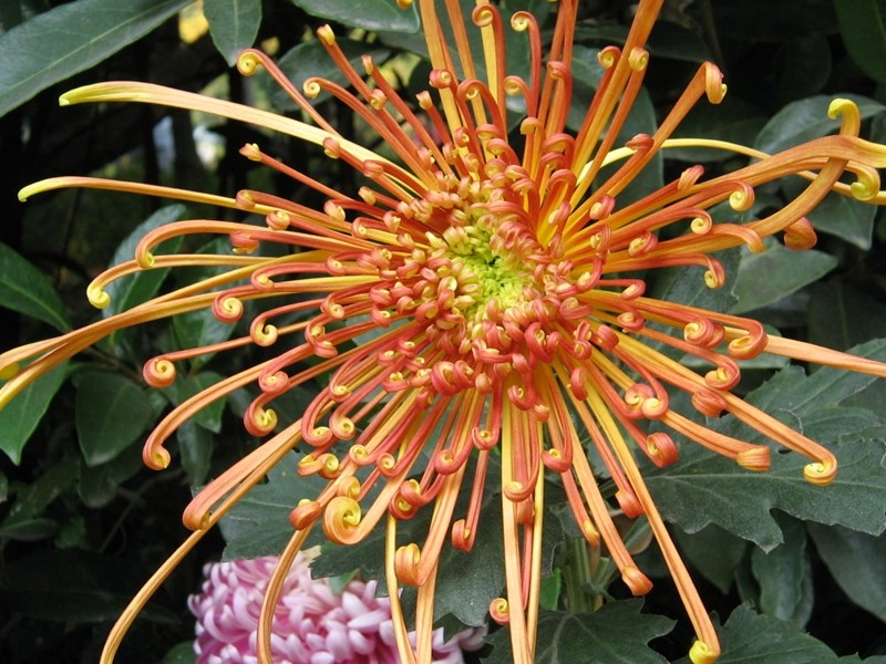 1659599254578648.jpg 5_副本_副本.jpg