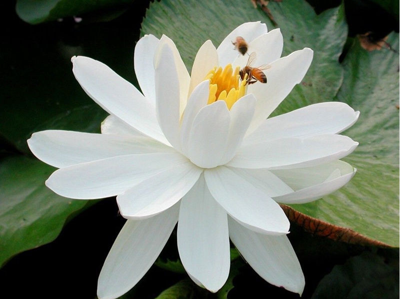 1659599303626585.jpg 6_副本.jpg