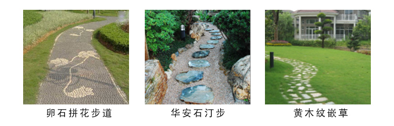 1659752307507990.jpg bb.jpg